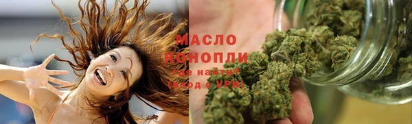 прущие грибы Верея