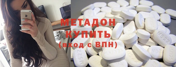 прущие грибы Верея