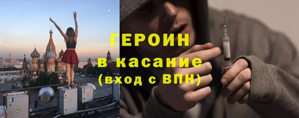 прущие грибы Верея
