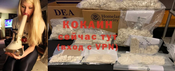 прущие грибы Верея