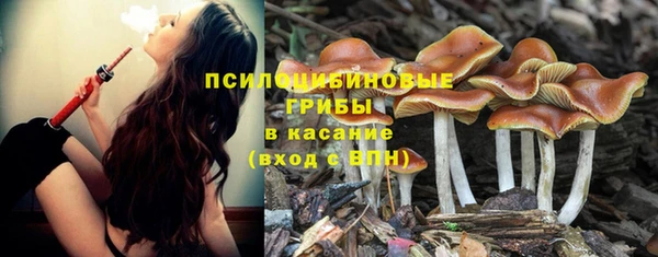сатива Верхний Тагил