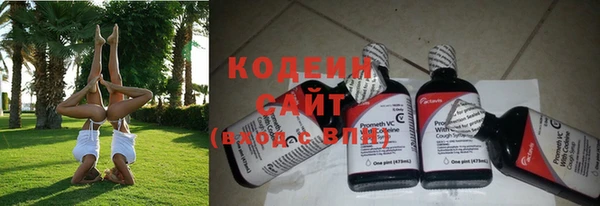 прущие грибы Верея
